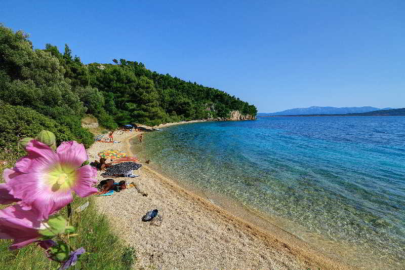 Camp Dole Zivogosce Hotell Podgora Eksteriør bilde